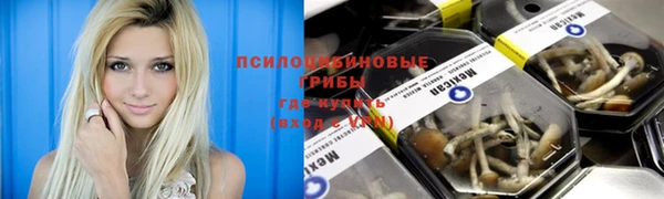 ПСИЛОЦИБИНОВЫЕ ГРИБЫ Баксан