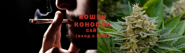 ПСИЛОЦИБИНОВЫЕ ГРИБЫ Баксан