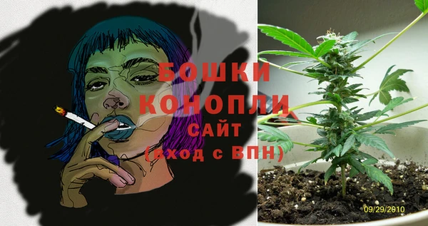 ПСИЛОЦИБИНОВЫЕ ГРИБЫ Баксан