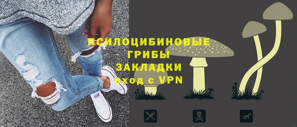 ПСИЛОЦИБИНОВЫЕ ГРИБЫ Баксан